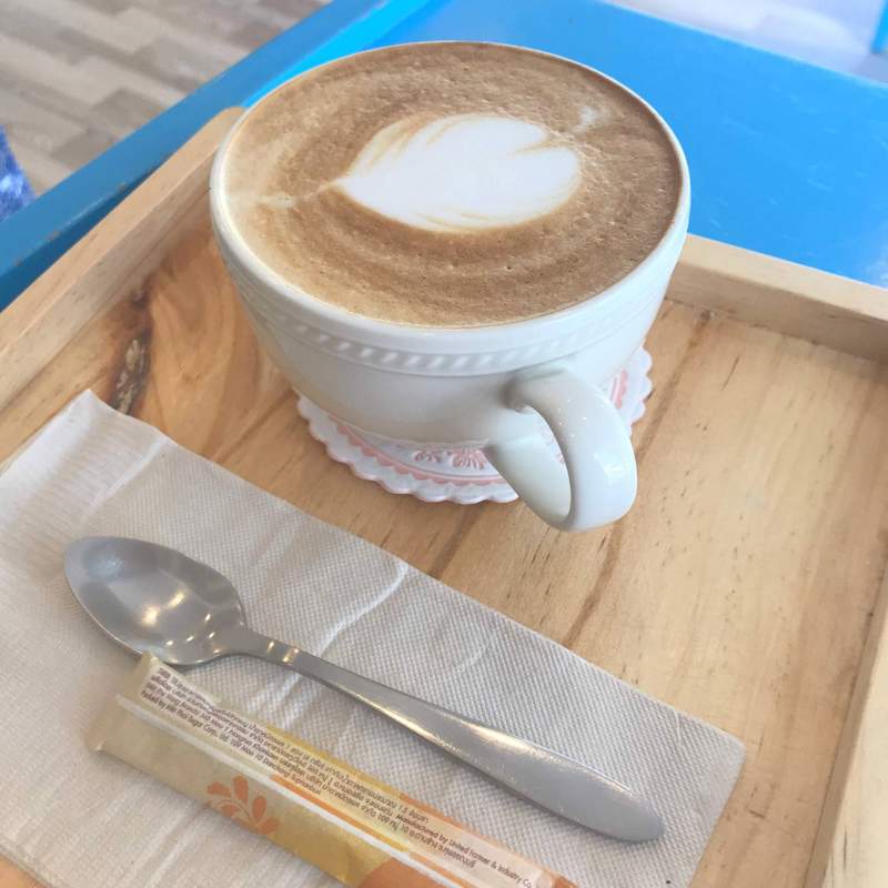 チェンマイの猫カフェ