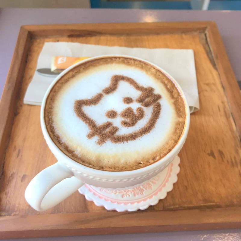チェンマイの猫カフェ「Cat Brothers Cafe」、ぽっちゃり多め