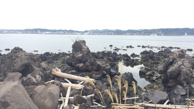 桜島溶岩なぎさ遊歩道は遊歩百選らしい