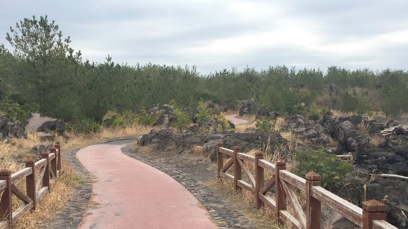 桜島溶岩なぎさ遊歩道は遊歩百選らしい
