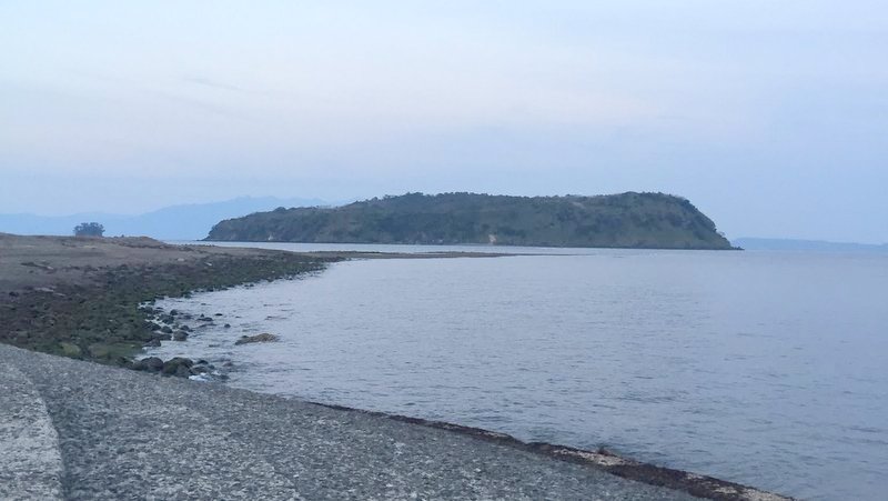 知林ヶ島へのちりりんロードを見に行った