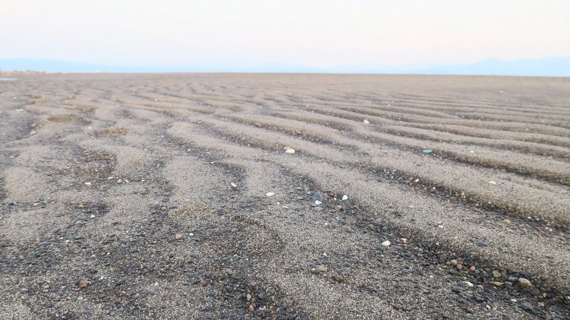 知林ヶ島へのちりりんロードを見に行った