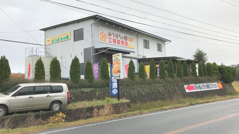 岐阜県養老町にあるみつばちの郷ははちみつに拘った素晴らしいお店、はちみつソフトクリームも美味しい
