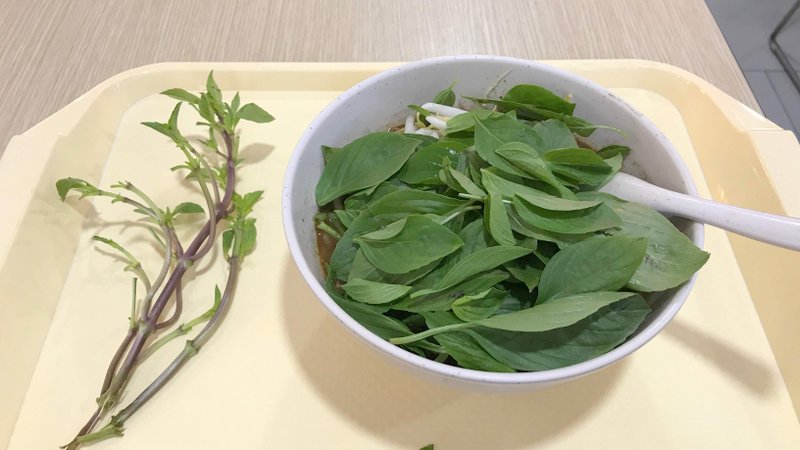 バンコクのMBKで食べたポークスープ、パクチーたっぷり