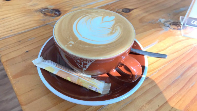 チェンライにある最強の猫カフェ「CAT 'n' A CUP Cat Cafe」は広々とした空間でかわいいネコたちと触れ合える