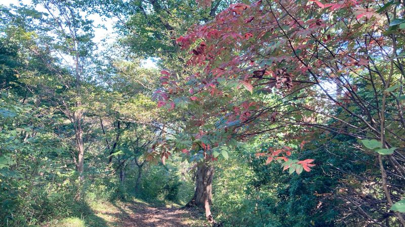 三平山（みひらやま）登山