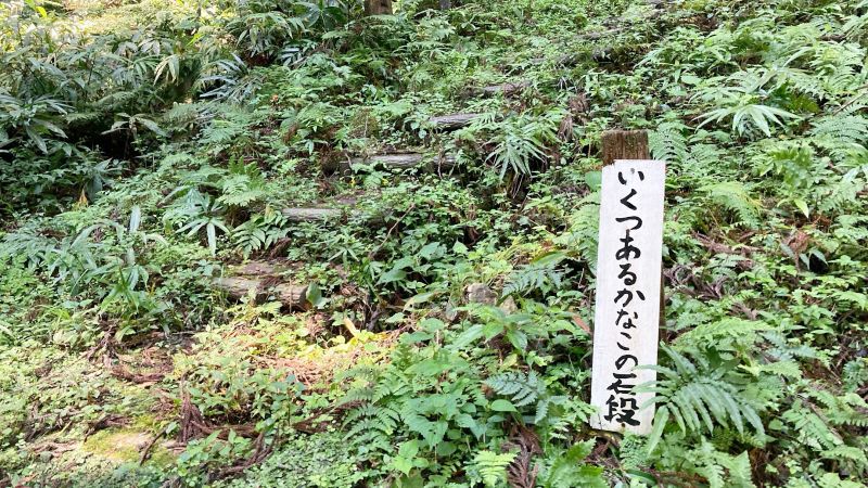 岡山県津山市の岩屋城跡（岩屋山）