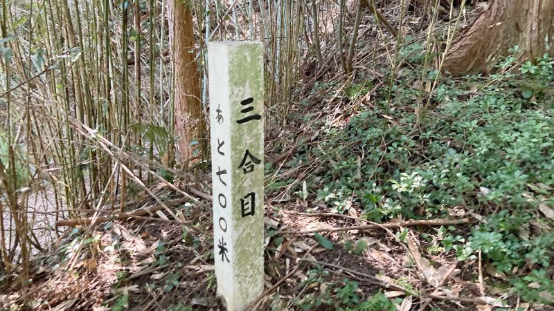 岡山県津山市の岩屋城跡（岩屋山）