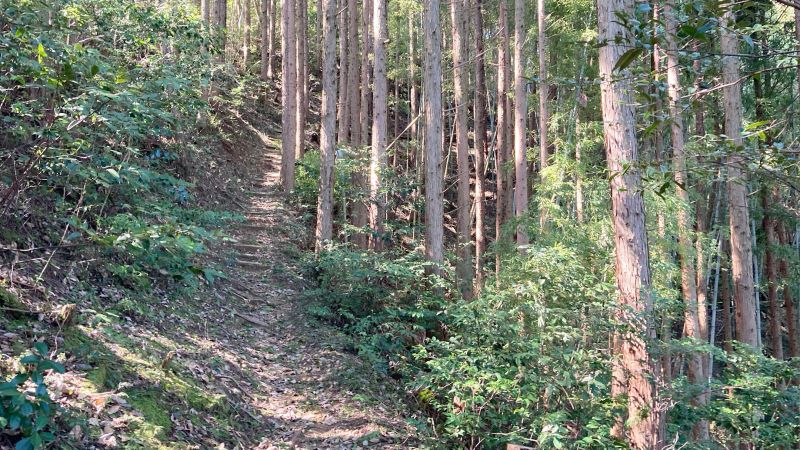 岡山県津山市の岩屋城跡（岩屋山）