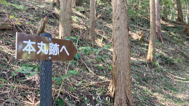 岡山県津山市の岩屋城跡（岩屋山）