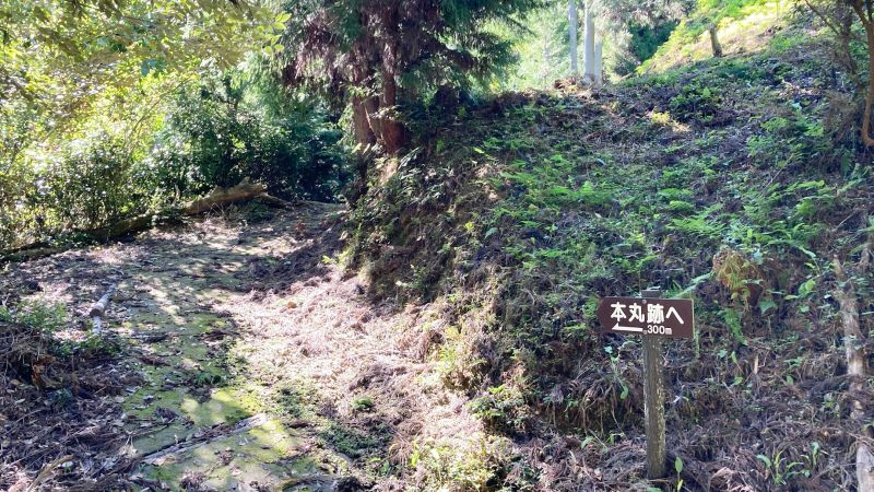 岡山県津山市の岩屋城跡（岩屋山）