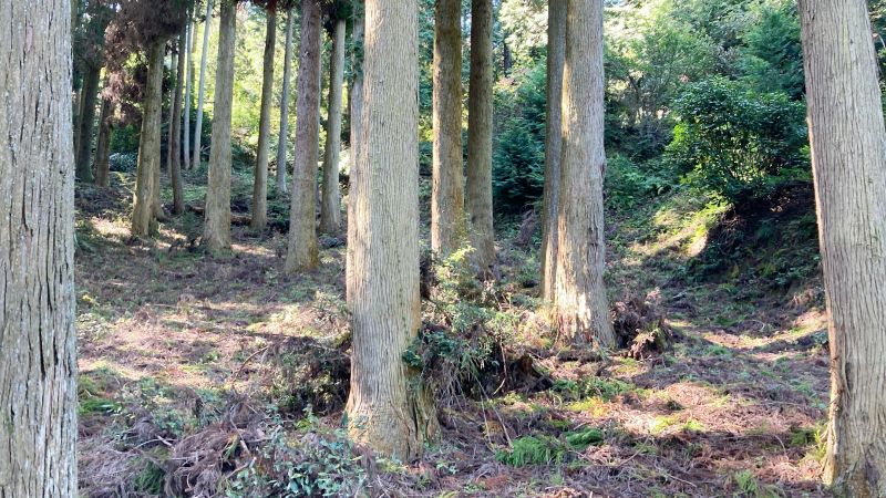 岡山県津山市の岩屋城跡（岩屋山）