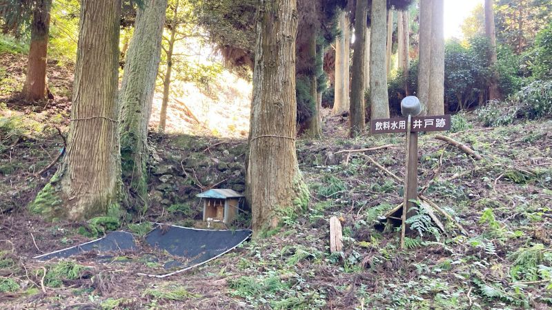 岡山県津山市の岩屋城跡（岩屋山）