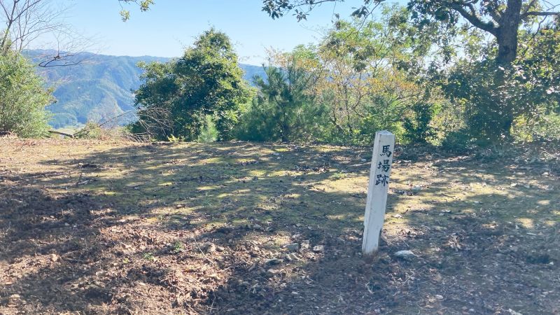 岡山県津山市の岩屋城跡（岩屋山）