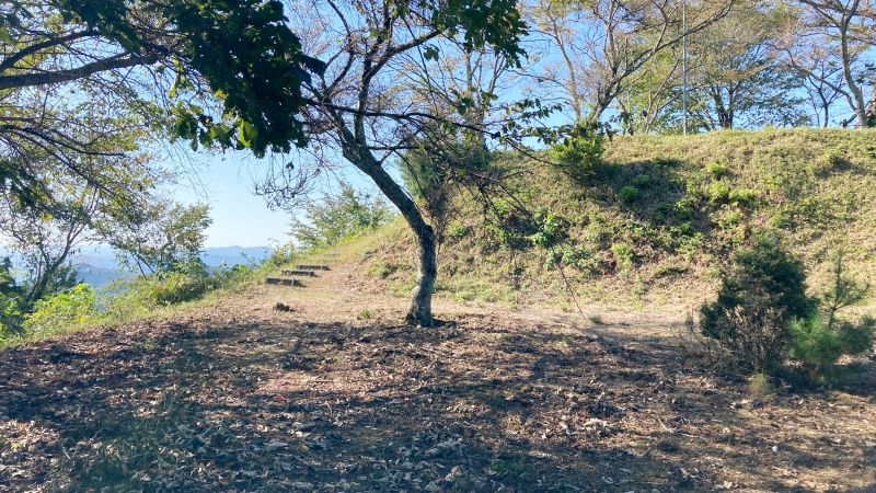 岡山県津山市の岩屋城跡（岩屋山）