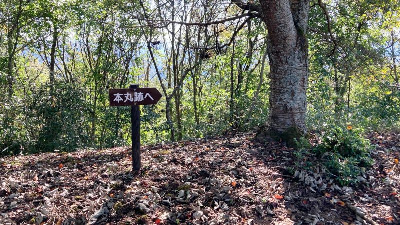岡山県津山市の岩屋城跡（岩屋山）