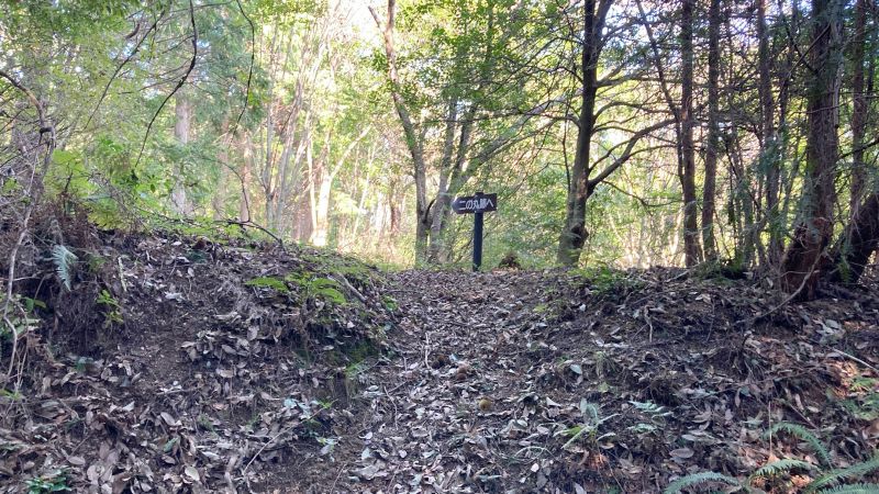岡山県津山市の岩屋城跡（岩屋山）