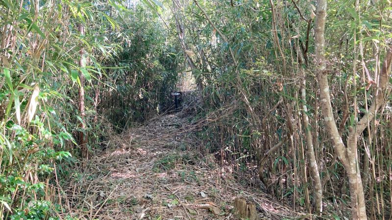 岡山県津山市の岩屋城跡（岩屋山）
